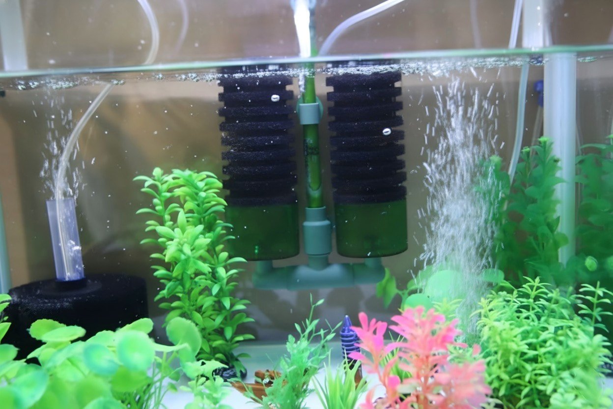 Discover the Advantages of Sponge Filters for Your Aquarium