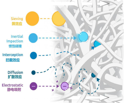 glass fiber media microstructure and surface detail